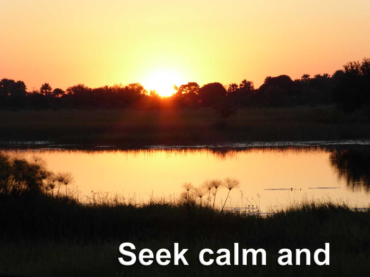 Seek calm